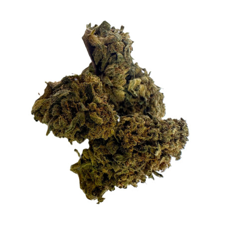 Bubblegum