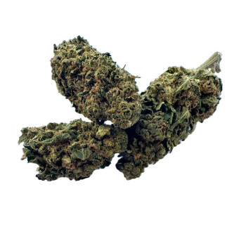 Gorilla glue