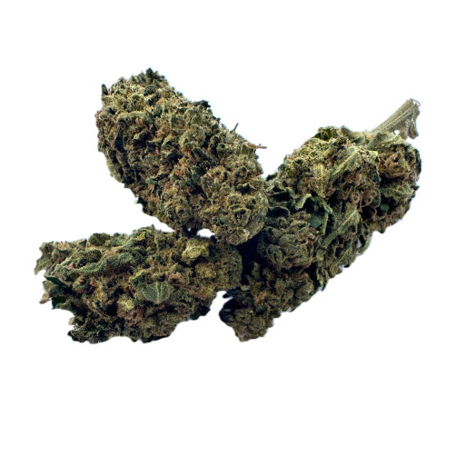 Gorilla glue Gorilla glue