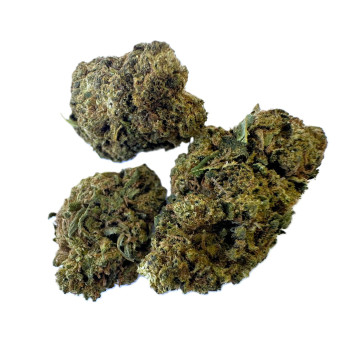 OG Kush