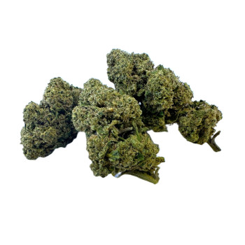 Orange Bud