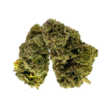 Orange Bud