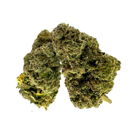 Orange Bud